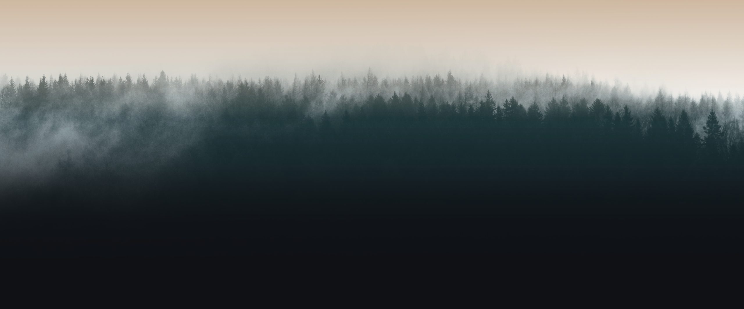 kajo-bg
